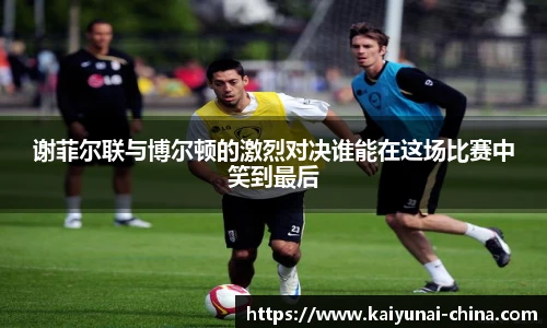 谢菲尔联与博尔顿的激烈对决谁能在这场比赛中笑到最后
