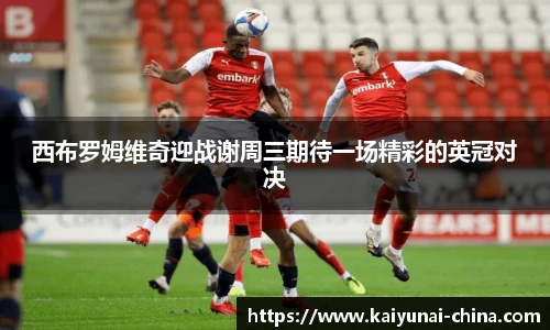 开云
