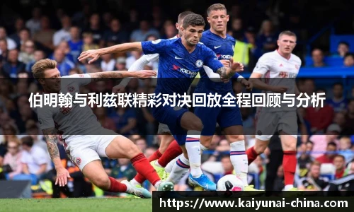 开云app